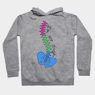 Not Straight - Polyromantic Hoodie